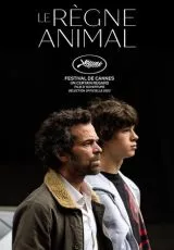 Царство животных