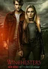 Винчестеры