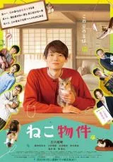 Кошачья собственность