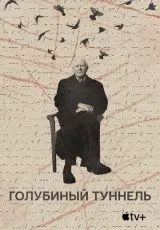 Голубиный туннель