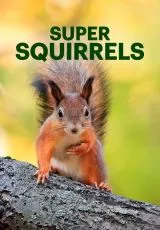 Супер белки