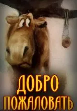 Добро пожаловать!