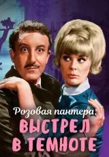 Выстрел в темноте