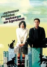 Лающие собаки никогда не кусают