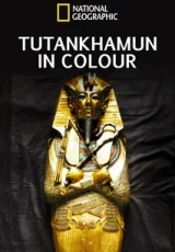 Тутанхамон: Цветная Версия