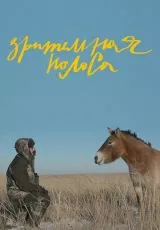 Зрительная полоса