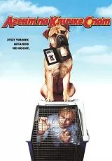 Агент по кличке Спот