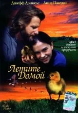 Летите домой