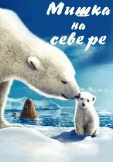 Мишка на Севере