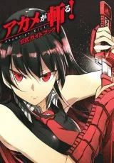 Убийца Акамэ!