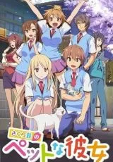 Кошечка из «Сакурасо»