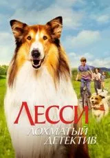 Лесси - лохматый детектив
