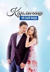 Гнездо ласточки