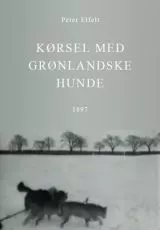 Путешествие в Гренландию на упряжке с собаками