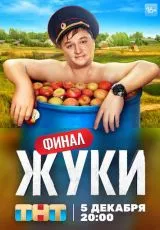 Жуки