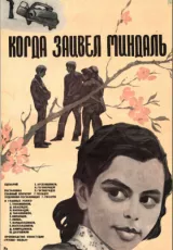 Когда зацвел миндаль