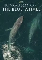 Kingdom of the Blue Whale