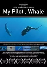 Мой пилот, кит