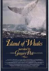 Остров китов