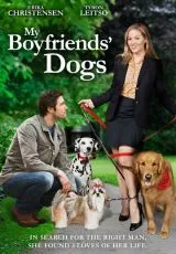 Собаки моих бывших