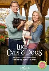 Как кошка с собакой