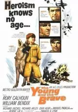 The Young and the Brave