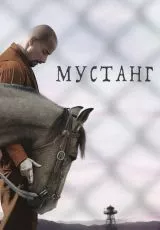 Мустанг