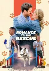 Дрессировка любви