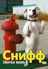 Снифф: Собачья жизнь