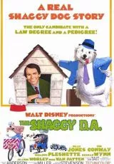 Лохматый прокурор