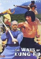 Разные пути кунг-фу