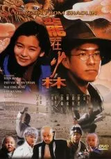 Дракон из Шаолиня