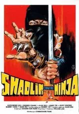 Шаолинь против ниндзя