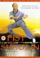 Кулак из Шаолиня
