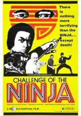 Шаолинь вызывает ниндзя