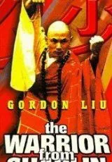 Воин из Шаолиня