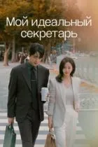 Мой идеальный секретарь