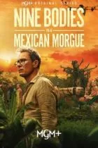 Девять тел в мексиканском морге