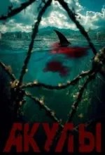 Акулы