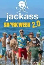 Чудаки и акулы 2.0