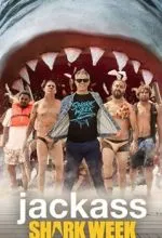 Чудаки и акулы