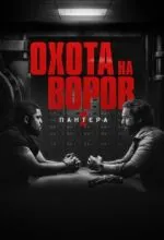 Охота на воров 2: Пантера