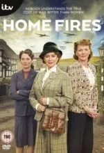 Домашние очаги