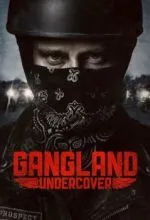 Под прикрытием