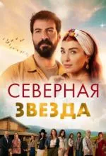 Северная звезда