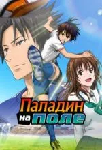 Паладин на поле