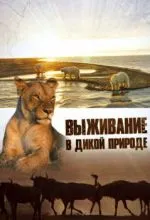 Выживание в дикой природе