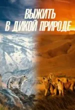 Выжить в дикой природе