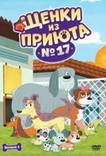 Щенки из приюта № 17