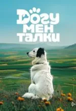 Догументалки